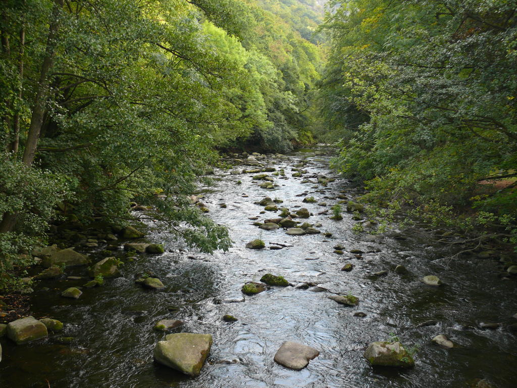 罗森堡泰尔公寓
